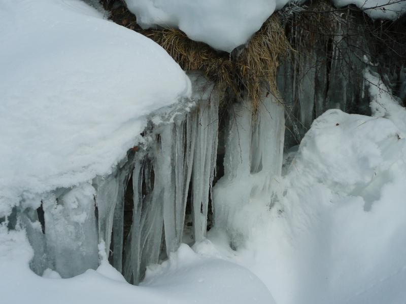 Ca pèle de froid !