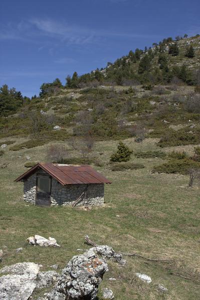 Cabane