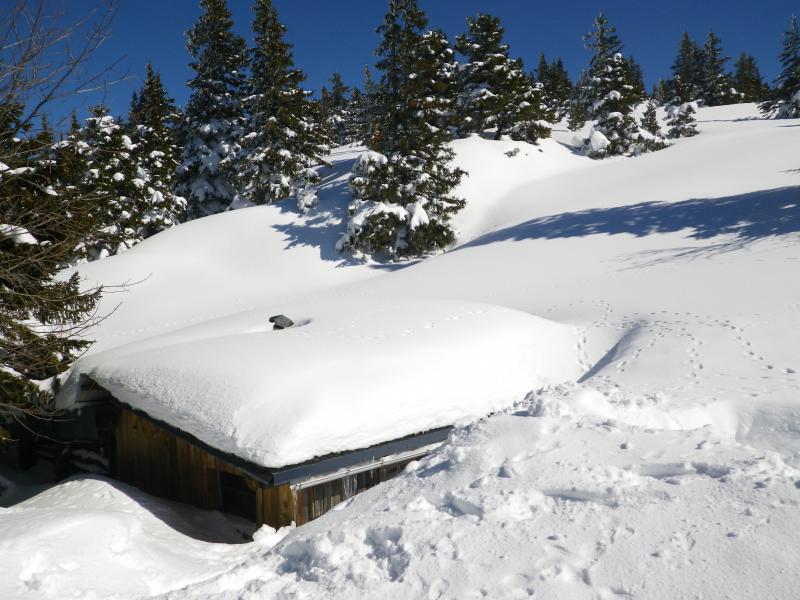 Cabane camouflée