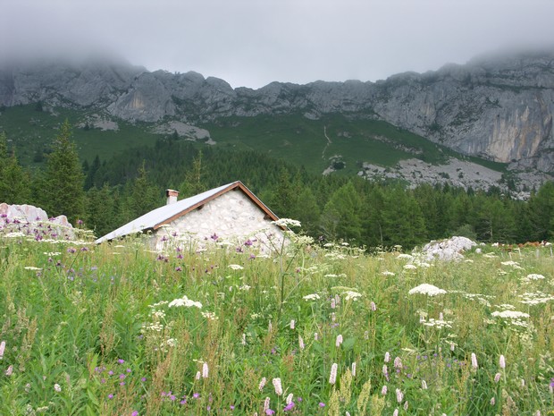 Cabane de Roybon