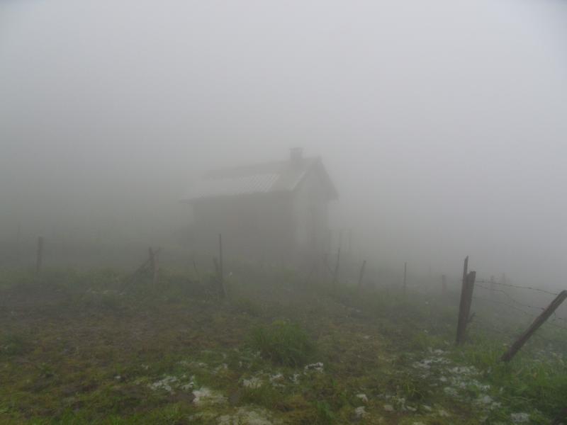 Cabane de jusson