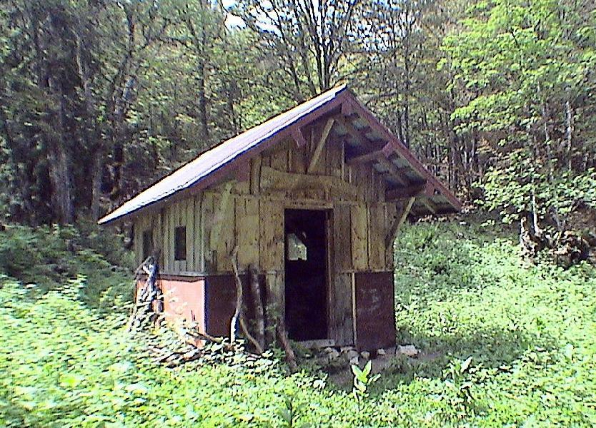 petite cabane au fond des bois
