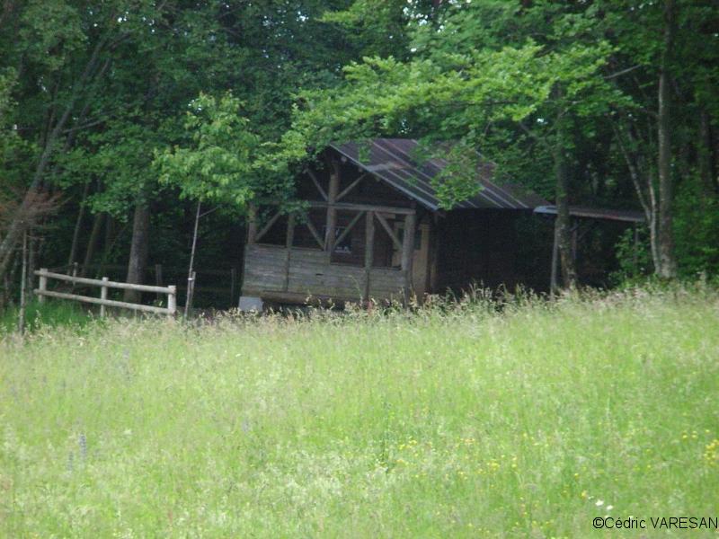 Cabane forestière