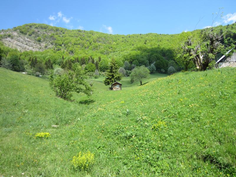 Cabanon en été