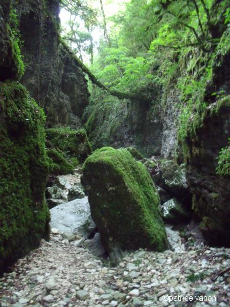 Canyon