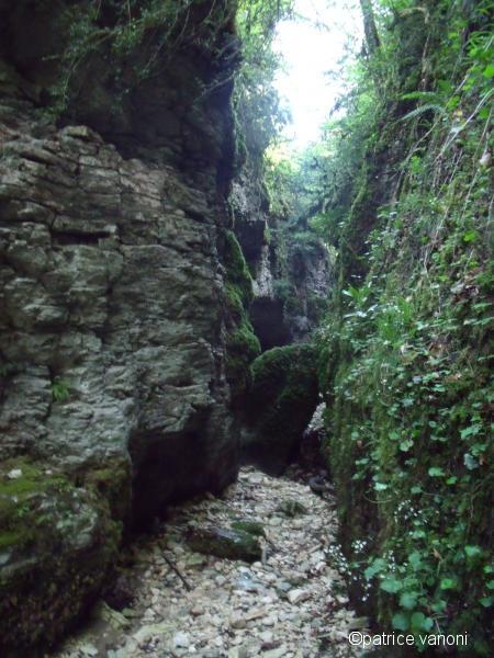 Canyon