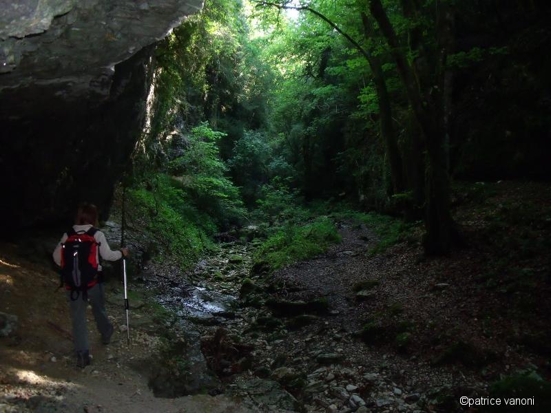 Canyon