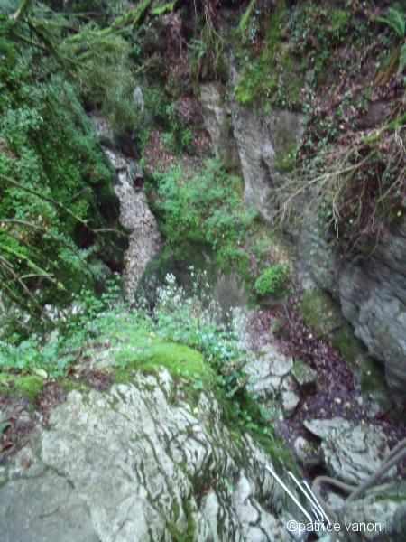 Canyon