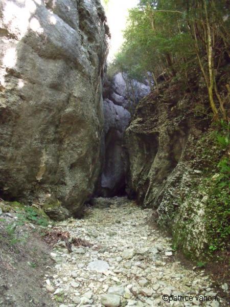 Canyon