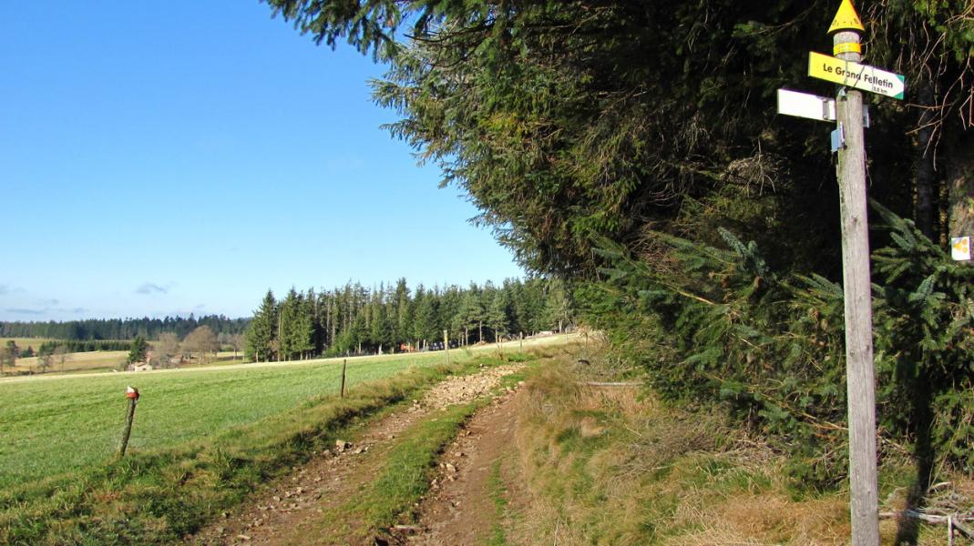 Carrefour sur le GR7