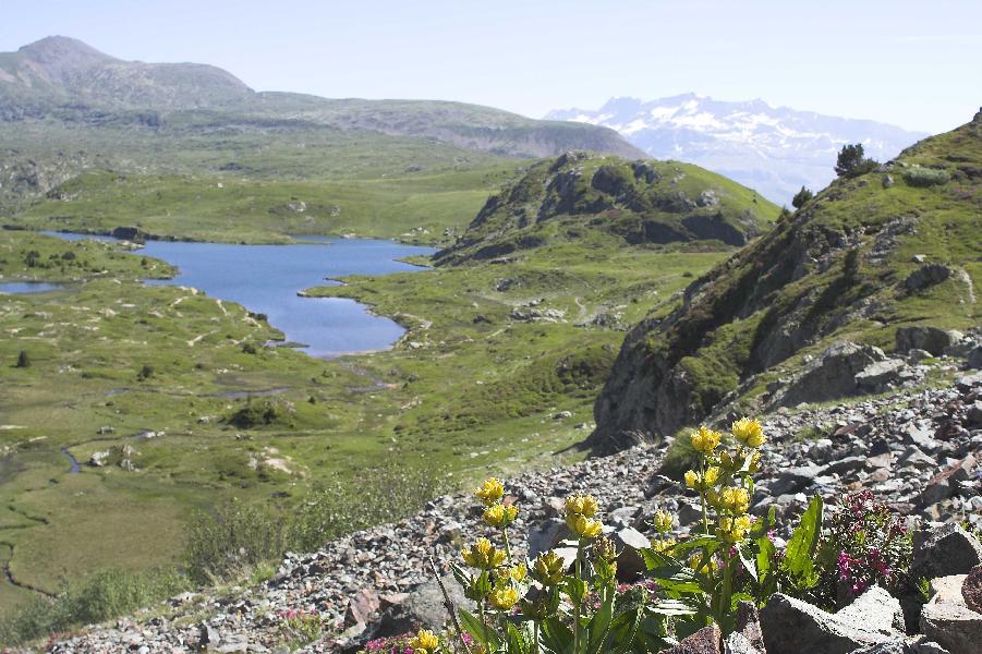 Carte postale