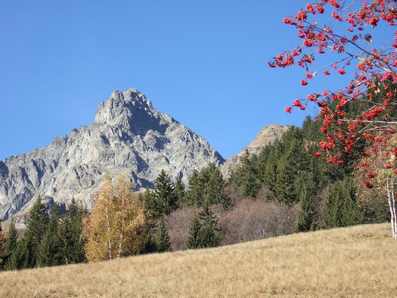 Carte postale