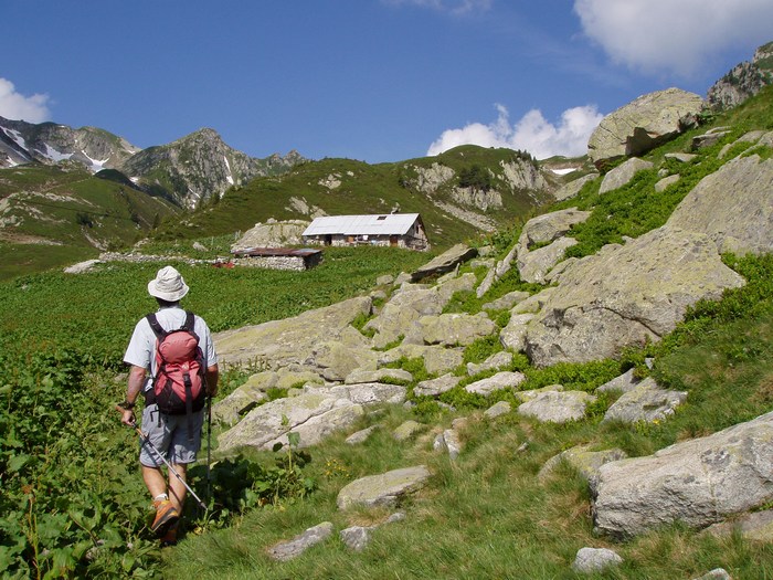 Chalet d'Arpingon