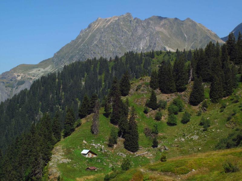 Chalet des Cornaches