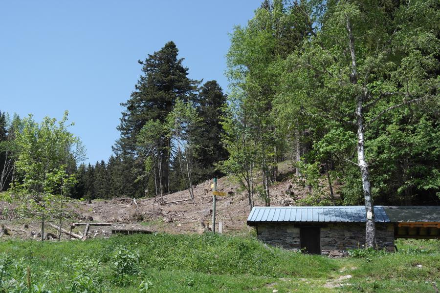 Chalet du Bout et Sapins Henri IV