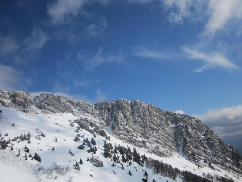 Chalves en bleu