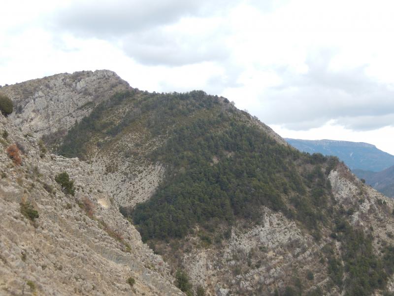 Champérus