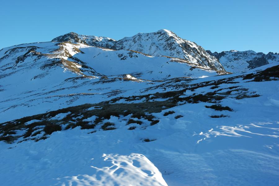 Chapotet - Rognier.