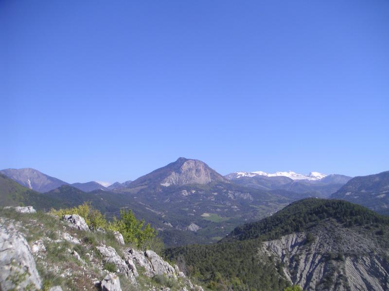 Charajaille
