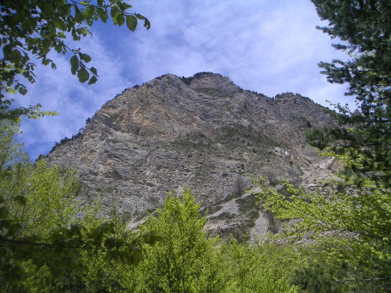 Charajaille
