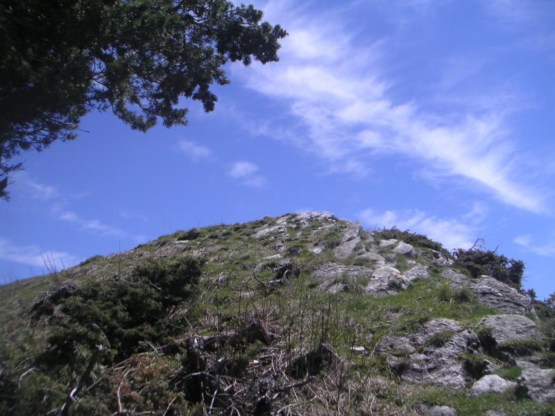 Charajaille