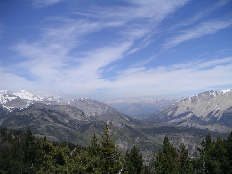 Charajaille
