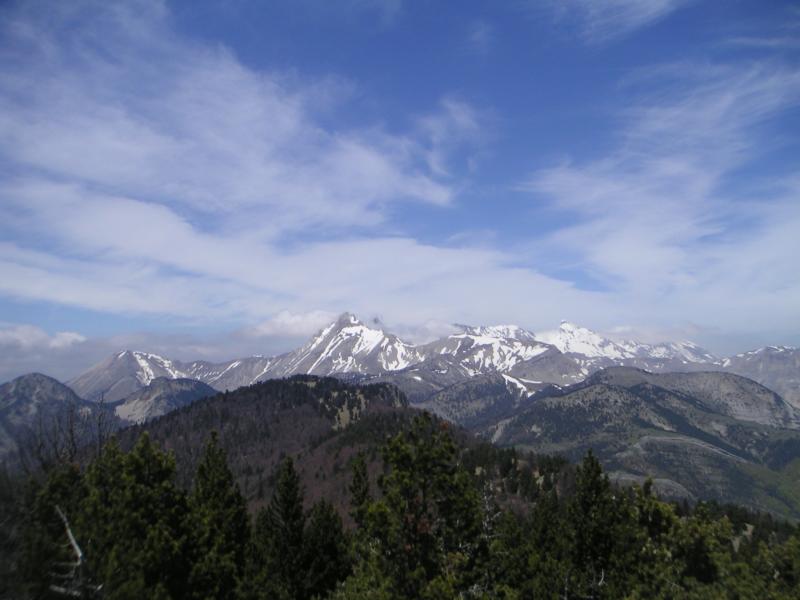 Charajaille