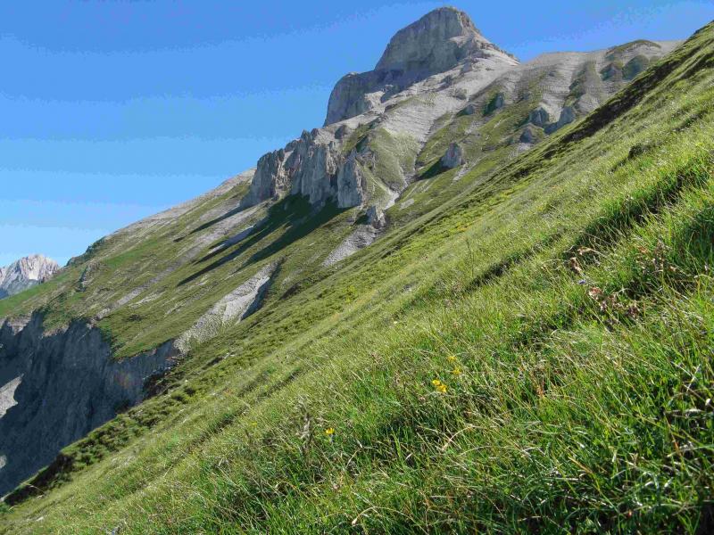 Charances et Gd Ferrand depuis le bord le plus bas