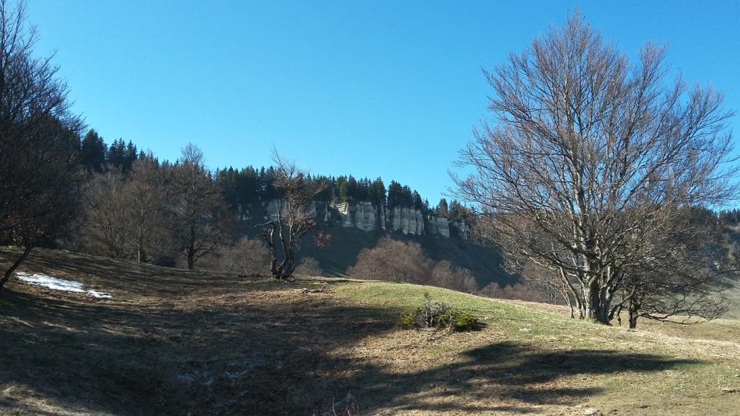 Charande