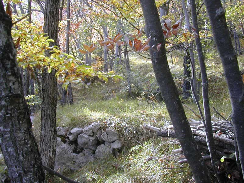 Charbonniere du Peuil