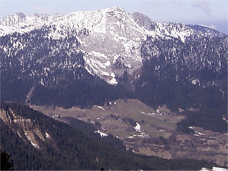 Charmant Som
