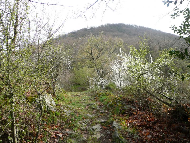 Charmant ce vieux sentier pavé