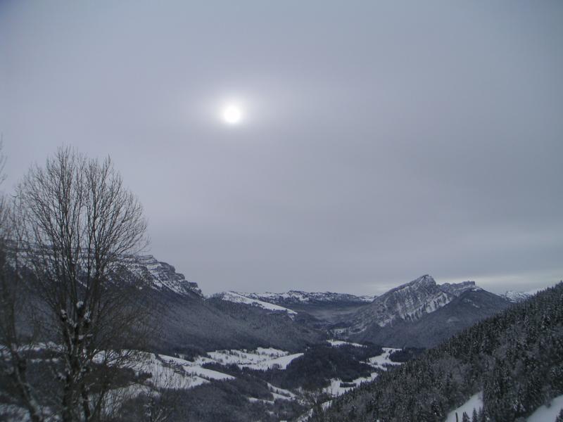 Charteuse