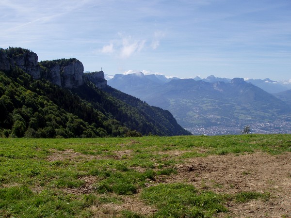 Chartreuse