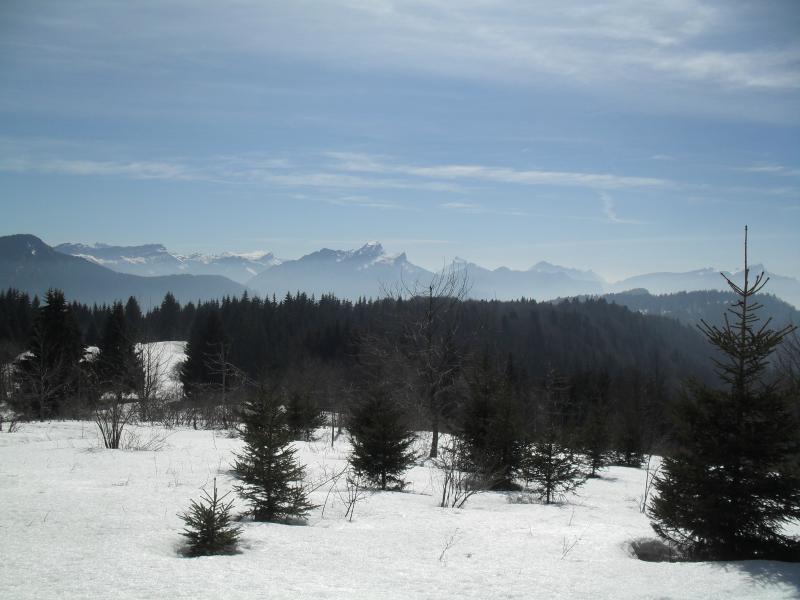 Chartreuse