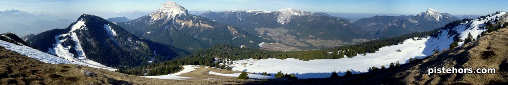 Chartreuse