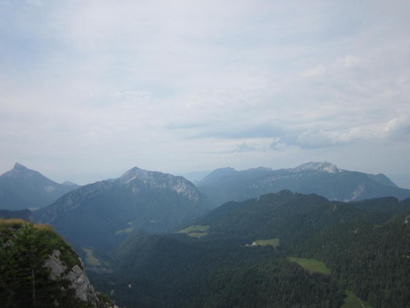 Chartreuse