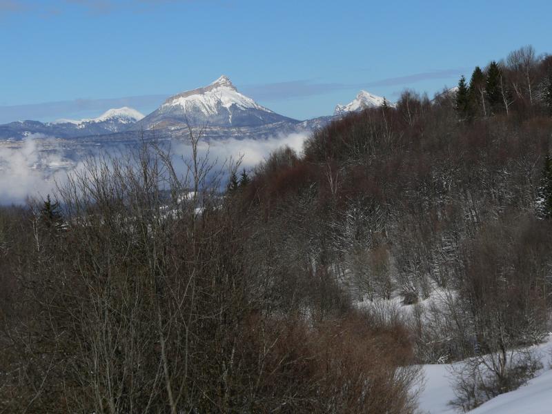 Chartreuse vue du col de la Madeleine