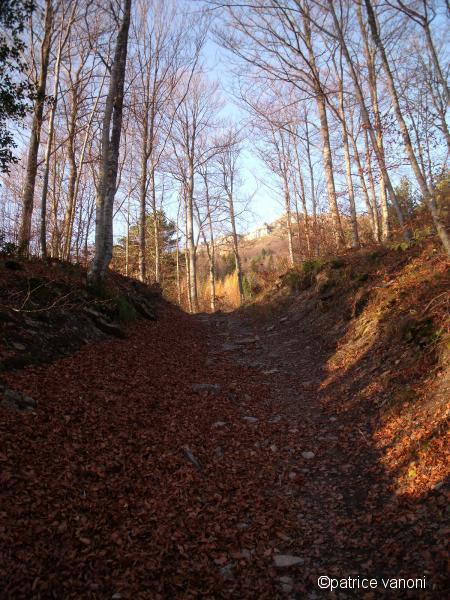 Chemin.