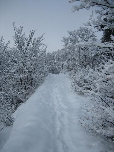 Chemin