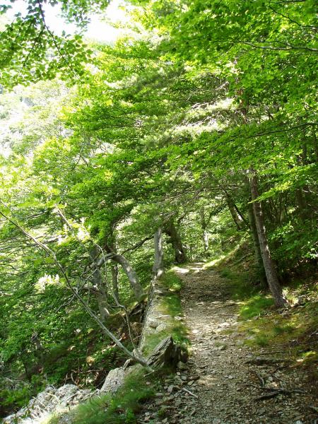 Chemin cévenol