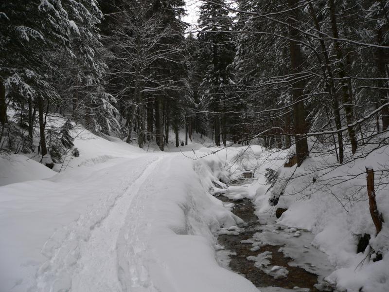 Chemin de retour