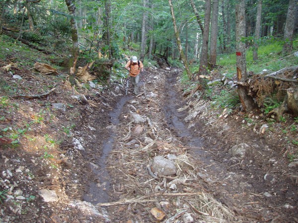 Chemin massacré