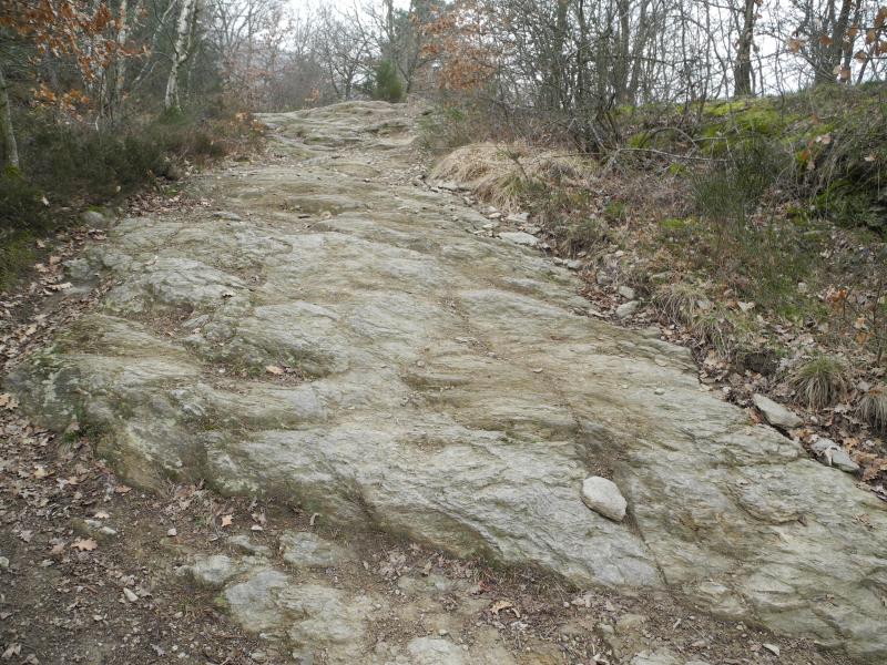 Chemin rocheux