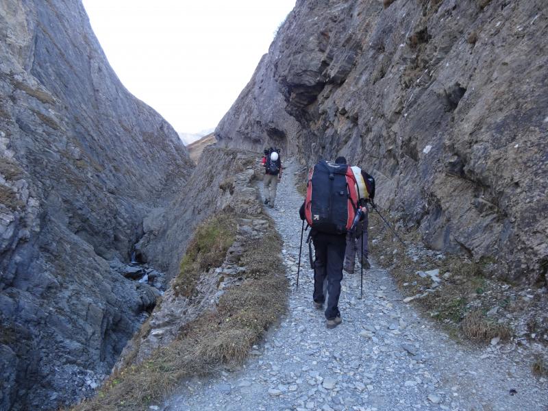 Chemin taillé