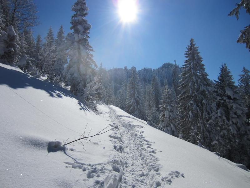 Ciel bleu, soleil et poudreuse...