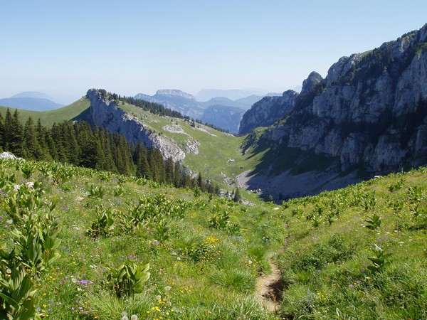 Col de Bovinant
