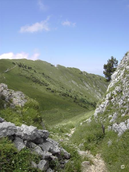 Col de Léchaud.