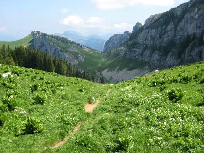 Col de Mauvernay