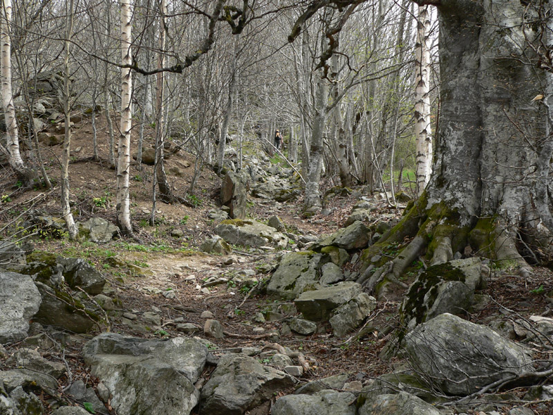 Col de Pousseboeuf